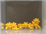 LEGO Parts - Bright Light Orange Plant Flower with Bar - No 32606 - QTY 10
