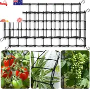 Grow Tent Trellis Netting 2x4', 2 Pack, Heavy Duty Elastic Plant Net