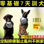 訓狗 養狗必學 訓狗教學 訓犬神器 寵物狗 訓練用品大全 養狗 廁所 影片課程 專業訓犬師 學不會全額退