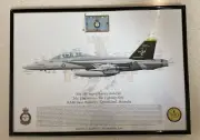 RAAF F/A-18F Super Hornet 1 Squadron 100 Years Signed Print - A3 Framed And RARE