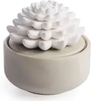 Airom? White Succulent, Porcelain Passive Essential Oil Diffuser (with 15ml Pepp