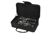 Axiom Prelude Clarinet Outfit with Box of Reeds