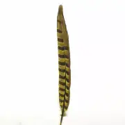 12" to 14" Reeves Pheasant Tail Feather - Yellow