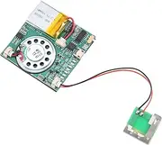 Xunweiad USB Recording Music Module DIY MP3 Recordable Sound Module USB Downloadable Sound Module, Greeting Card