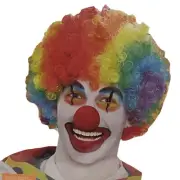 Rainbow Afro Clown Costume Wig Adult Halloween Unisex One Size Colorful