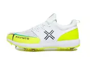 Payntr X Cricket Shoe