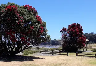 奧普納基海灘奇異假日公園