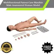 Multifunctional Patient Care Manikin Male