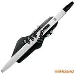 零卡分期免運 ROLAND AE-20 AEROPHONE 電子吹管(電子長笛、雙簧管、薩克斯風 管樂器)【唐尼樂器】