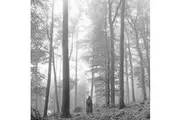 UNIVERSAL MUSIC TAYLOR SWIFT FOLKLORE IN THE TREES EDITION - DOUBLE VINYL ALBUM