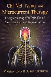 Chi Nei Tsang & Microcurrent Therapy : Energy Massage for Pain Relief NEW