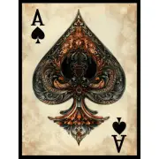MTG (Ace of Spades) 100ct Matte TCG Art Card Sleeves by Ai Armor