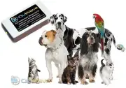 Ultimate Pet EMF Protection, , EMF Protection for Animals, Pet EMF Shield. QWT2