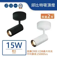 在飛比找松果購物優惠-舞光LED 15W邱比特吸頂燈(暖白)(白/黑) LED-C