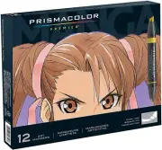 Fine & Chisel Tip Art Markers - Premium 12 Pack for Manga Illustration