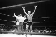 Wilfredo Benitez As He Knocks Out Ray Chavez Guerrero 1977 Old Boxing Photo