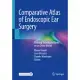 Comparative Atlas of Endoscopic Ear Surgery: Training Techniques Based on an Ovine Model