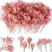 4000+ Mini Pink Dried Babys Breath Flowers 6'', 70Pcs Natural Gypsophila, Dry Flowers Bulk for Vase Resin Nails, Art Crafts DIY Pressed Flower Making, Valentines Day Decor, Room Table Wedding Gifts