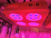 New 1600Wx4 Full Spectrum LED Indoor Grow Light with Interior Fan for Grow Tent
