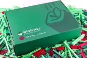 Contempo Views Whybricks Science Educational STEM Kit