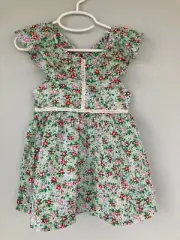 JCrew Girls Ruffle Flutter Sleeve Dress Size 2