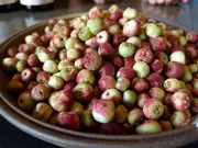 Buy Muntries low Growing Shurb/Plant - Kunzea pomifera