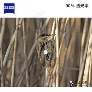 【ZEISS 蔡司】VICTORY SF 8X32雙筒望遠鏡-德國製(公司貨)