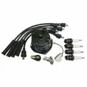 Complete Tune Up Kit for MF 50,35,135,150,165,175, Screw Down Cap