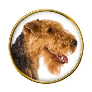 Welsh Terrier Dog Lapel Pin Badge