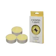 8 Pack Tealight Fresh Cut Pinapples