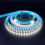 12V/24V LED 燈條 2835 5 米 120 LED 自然白彩色按鈕燈串,用於派對家居裝飾