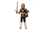 Knight Valiant Medieval Renaissance Dragon Slayer Story Book Week Boys Costume