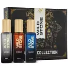 Wild Stone Perfume Gift Set of Cigar,Ammo and Whisky Perfume for Men, Pack of 3