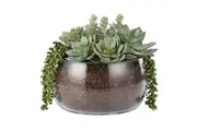 Rogue Artificial Succulent Mix in Scarlett Bowl Fake Indoor Potted Plant 30x29cm