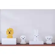 Mr. Maria Bundle of Lights - Stylish Colours for Décor