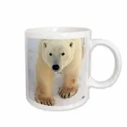 3dRose Polar Bear Close-up Mug