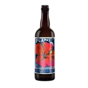 Jolly Pumpkin Plans Sour Ale