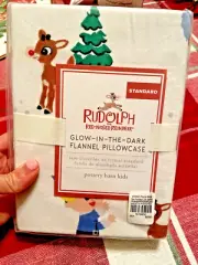 Pottery Barn holiday Rudolph Reindeer Bumble Santa Christmas pillowcase disney