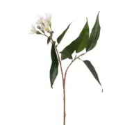 Artificial Australian Native Silk Flowering Eucalyptus Greenery Spray - Cream...