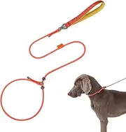 jopiuieo Dog Leads for Small Dogs | 59in Escape-Proof Medium Dog Neck Slip Harness | Escape-Proof Puppy Neck Harness 360-Degree Anti-Knot Rotation