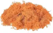 sourcing map Preserved Reindeer Moss, 17.6oz Fake Moss for Crafts Artificial Dried Moss for Decoration Terrariums Potted Plants, Orange