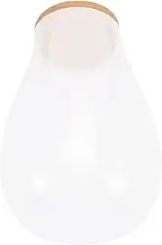 FONDOTIN Desktop Glass Terrarium Bottle DIY Plant Container for Micro Landscaping for Home and Office Decor with Cork Create Your Own Indoor Space