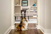 Carlson Pet Products Tuffy Metal Expandable Pet Gate 24x22-38 inches, White