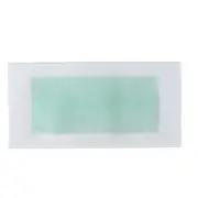 40pcs Wax Strips Kit Double Sides Fast Hair Remover Strips With Cleaning Pad WTD