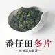 【六奉茶莊】2023冬片-頂級杉林溪番仔田冬片烏龍茶-四兩-150g-編號：7314332511694高山茶 杉林溪茶