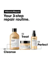L'oreal Serie Expert Absolut Repair Golden Mask