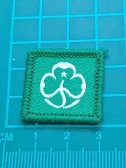 Girl Guide Logo Badge. Small Green