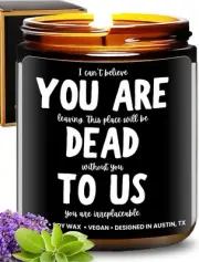 Funny Farewell Candle, Going Away Gifts For Friends & Family, 9 ounce, Cream