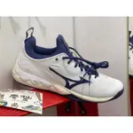 大灌體育👟美津濃 MIZUNO WAVE LUMINOUS 2 排球鞋 V1GA212043 白藍 中統