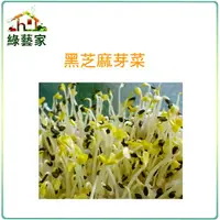 在飛比找Yahoo奇摩購物中心優惠-【綠藝家】J14.黑芝麻芽(芽菜種子)種子3000顆